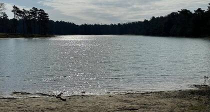 Holiday Home with Meadow View near Forests