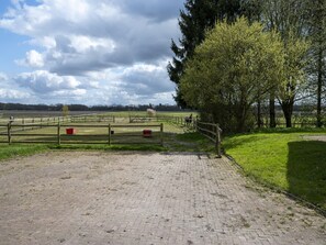 View from property - Holiday Home with Meadow View near Forests (Schoonoord)