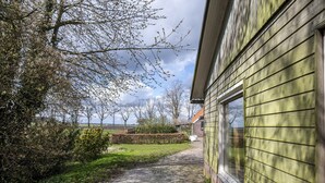 A pathway leading to a building with a green exterior, surrounded by trees and a hedge. - Holiday Home with Meadow View near Forests (Schoonoord)
