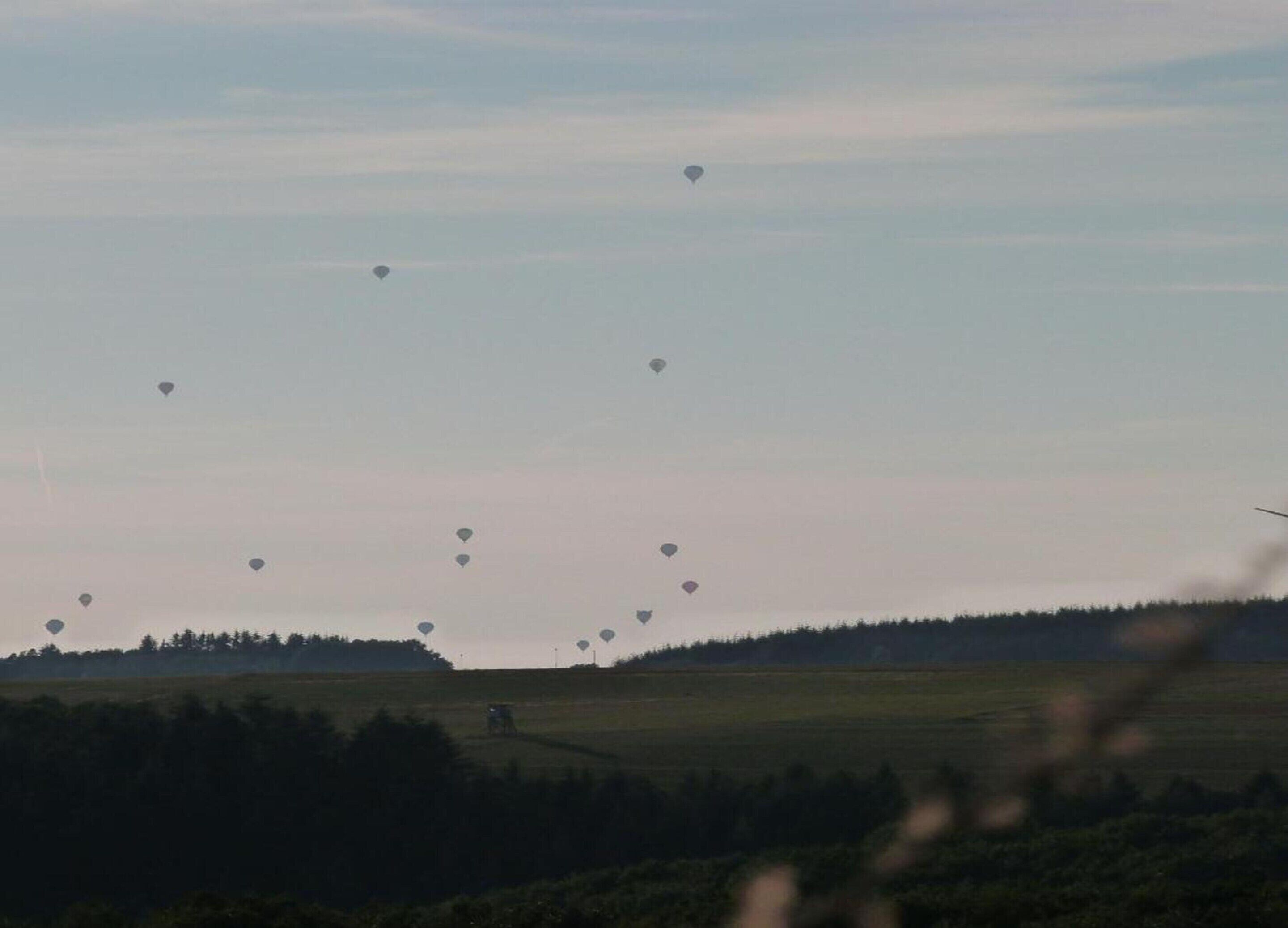 Ein Feld mit mehreren Heißluftballons am Himmel.