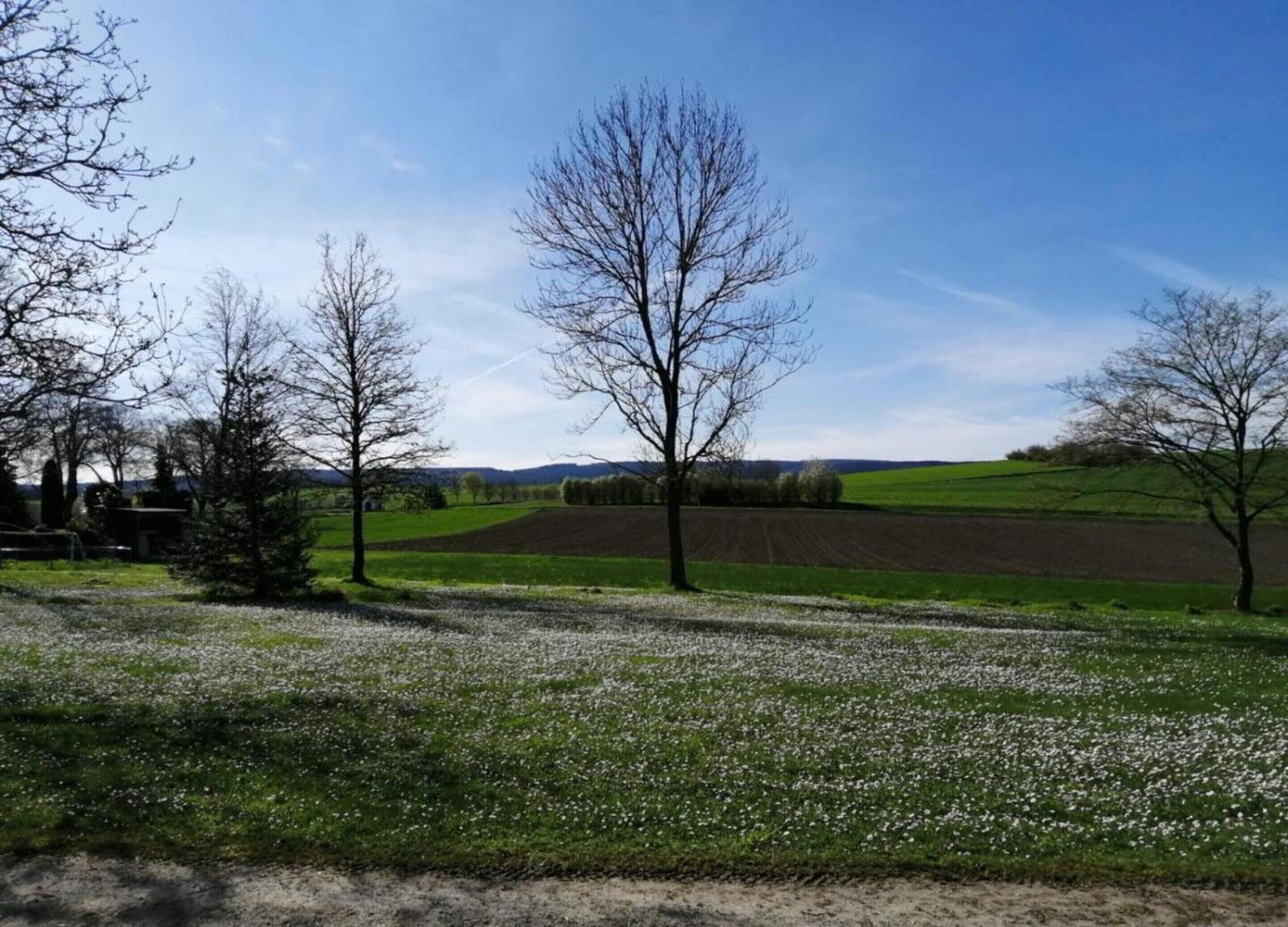 Un paysage rural caractérisé par de vastes champs, des arbres et un ciel dégagé.