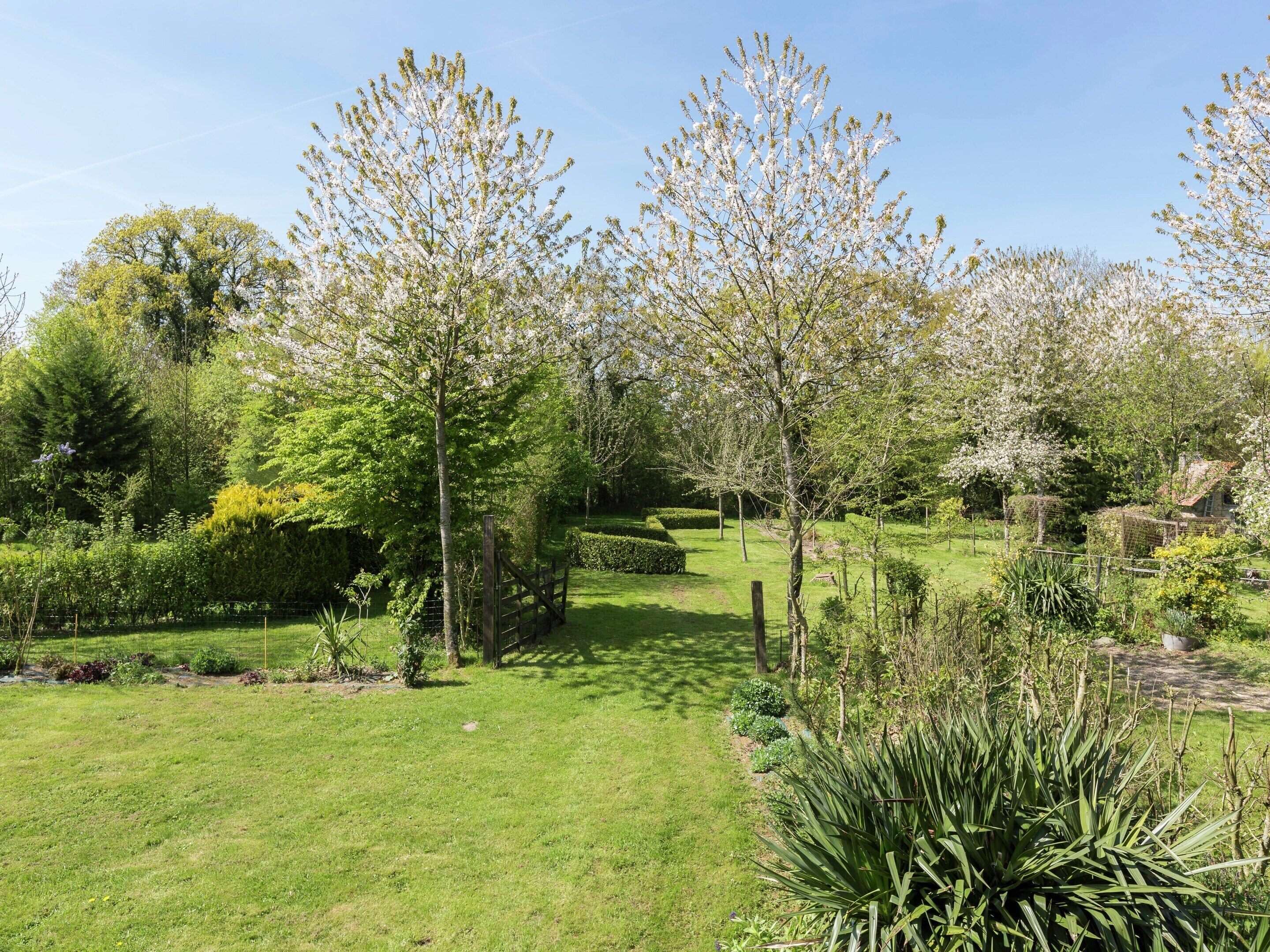 House | Garden