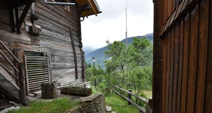 Chalet in Grengiols Near Bettmeralp Ski Slopes