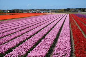 Hus | Utsikt från boendet