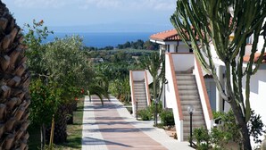 Un sendero que conduce a un edificio con vistas al mar, rodeado de cactus y vegetación.
