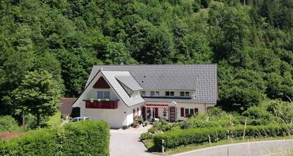 Pretty Apartment in Oppenau near Black Forest National Park