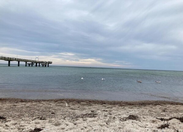 A pier extending into calm waters with a sandy beach in the foreground. - Exklusives Reetdachhaus mit Sauna in Rerik (Rerik)