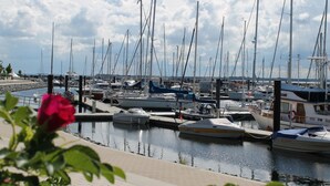 A marina with multiple boats docked, a clear sky, and a rose in the foreground. - Stylish Family Stay by Beach (Boltenhagen)