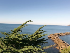 Exterior - Comfortable Holiday Home in Castiglioncello With Garden (Rosignano Marittimo)