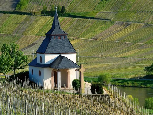 Apartment in Trittenheim With Terrace and Garden