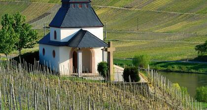 Apartment in Trittenheim With Terrace and Garden