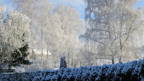 A snow-covered landscape with trees and a wooden structure. - Wonderful Apartment With Barrel Sauna (Stockheim)