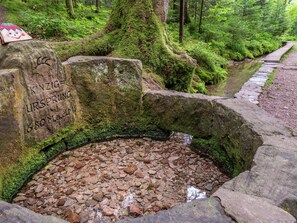 House | View from property - Cozy Holiday Home in Loßburg near Ski Area (Lossburg)