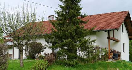 Cosy Apartment in Allgau With Garden