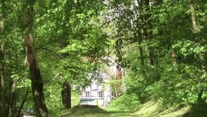 A pathway leading to a building surrounded by lush green trees. - Relaxing Watermill Hideaway (Heringen)