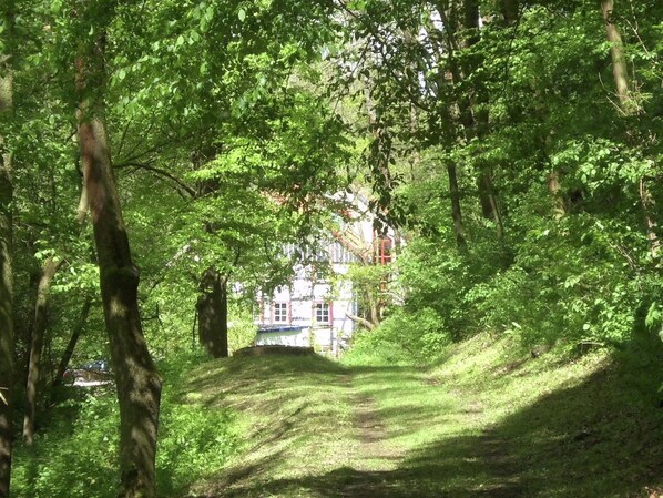 Apartment | Außenbereich