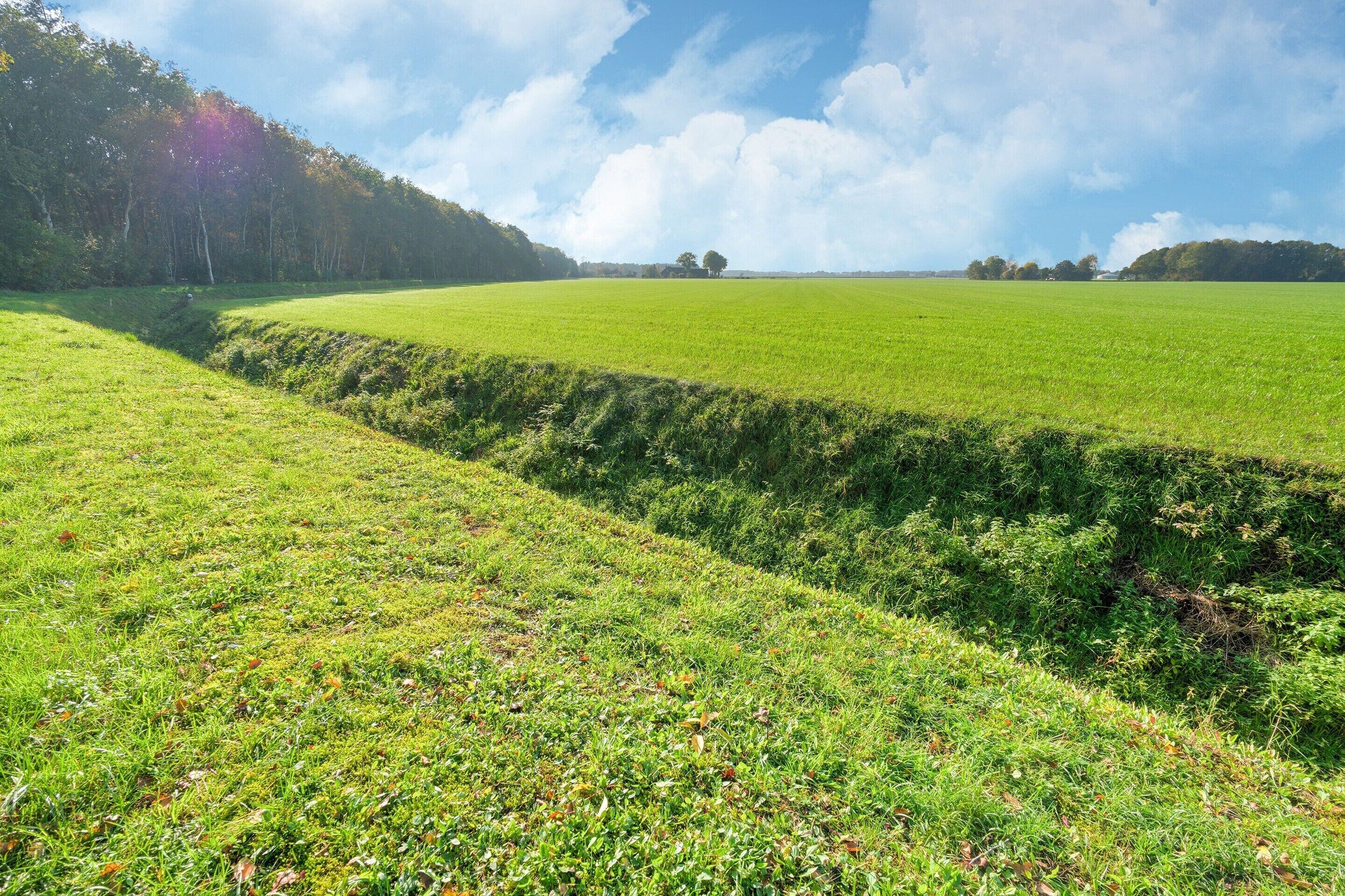 A wide, open field with a hedge in the foreground and a forested hill in the background.
