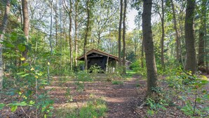 A rustic cabin surrounded by a forest. - Holiday Home in Zorgvlied Near Drents (Zorgvlied)