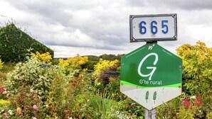 A rural sign with the number 665 and a green 'G' symbol, surrounded by lush greenery and flowers. - Holiday Home in Bastogne With Garden (Bastogne)