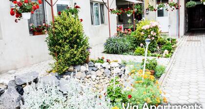 Vig Apartments Timisoara