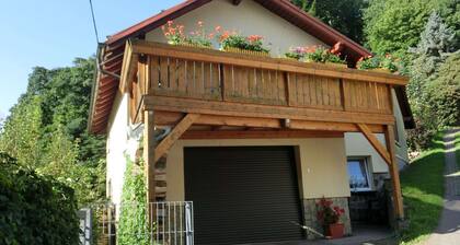 Meadow View Cottage in Winterstein Thuringia near Ski Area