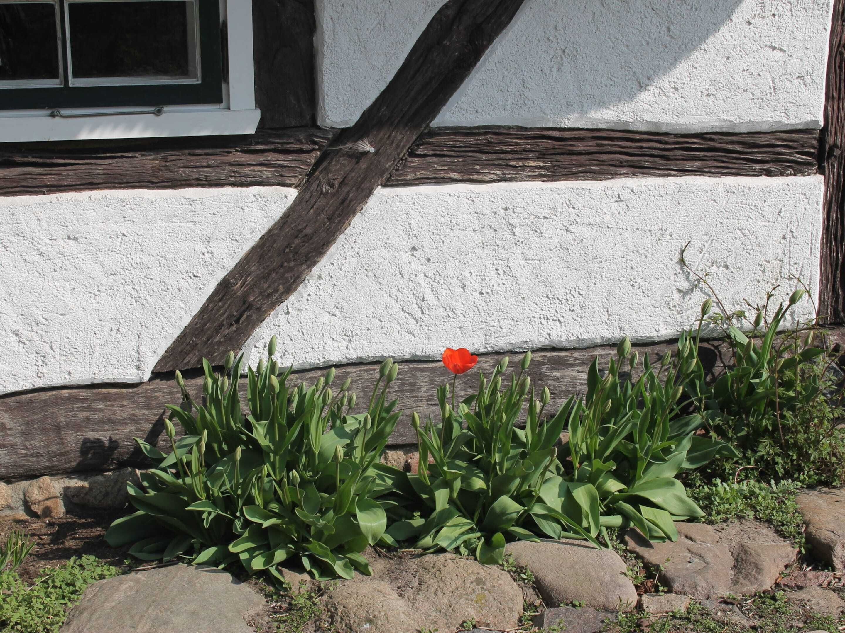 A white building with exposed timber framing and a window.