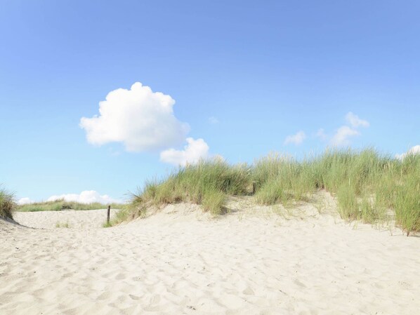 Exterior - Lavish Villa in Julianadorp aan zee (Julianadorp)