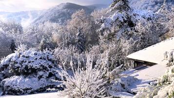 Nhà gỗ | Ngoại thất