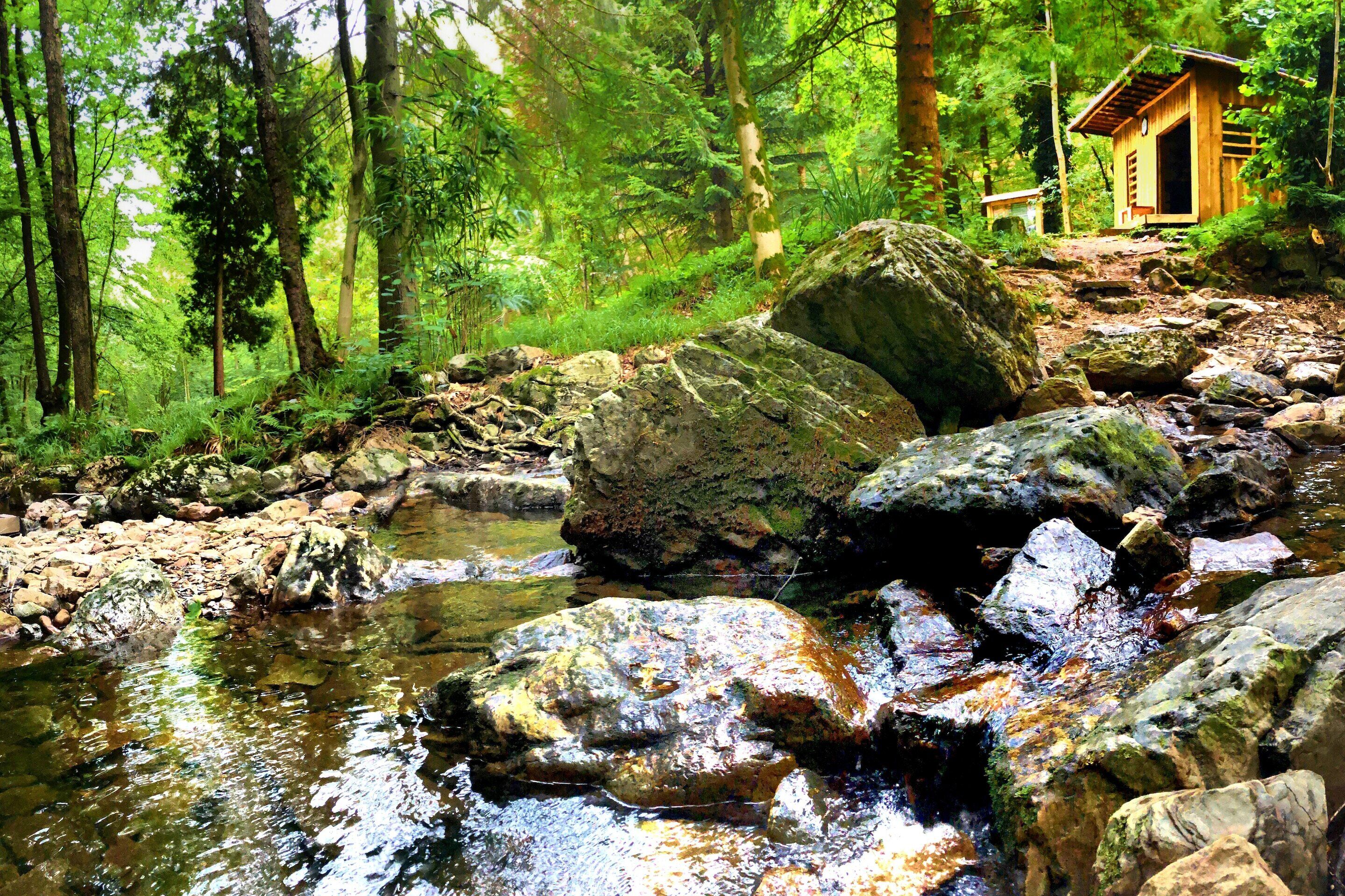 A rustic cabin in a forested area with a stream flowing nearby.