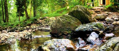 A rustic cabin in a forested area with a stream flowing nearby.