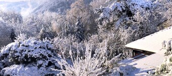 Vintage Chalet in Sougné-Remouchamps near Forest