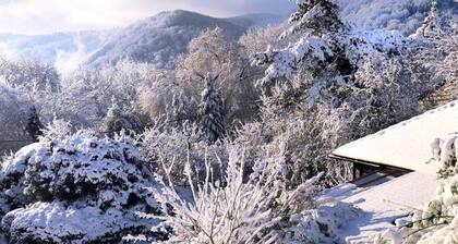 Vintage Chalet in Sougné-Remouchamps near Forest