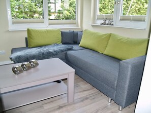 Maison | Salle de séjour | Foyer