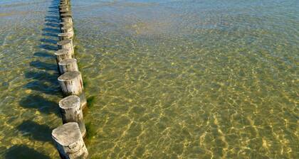 Ganseblumchen Island Stay