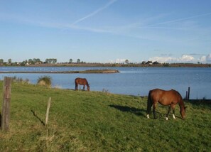 Bungalow | View from property - Insel- Bungalow auf Poel (Insel Poel)