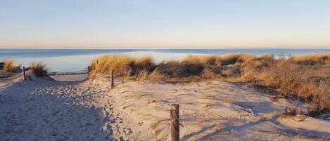 Bungalow | Blick von der Unterkunft