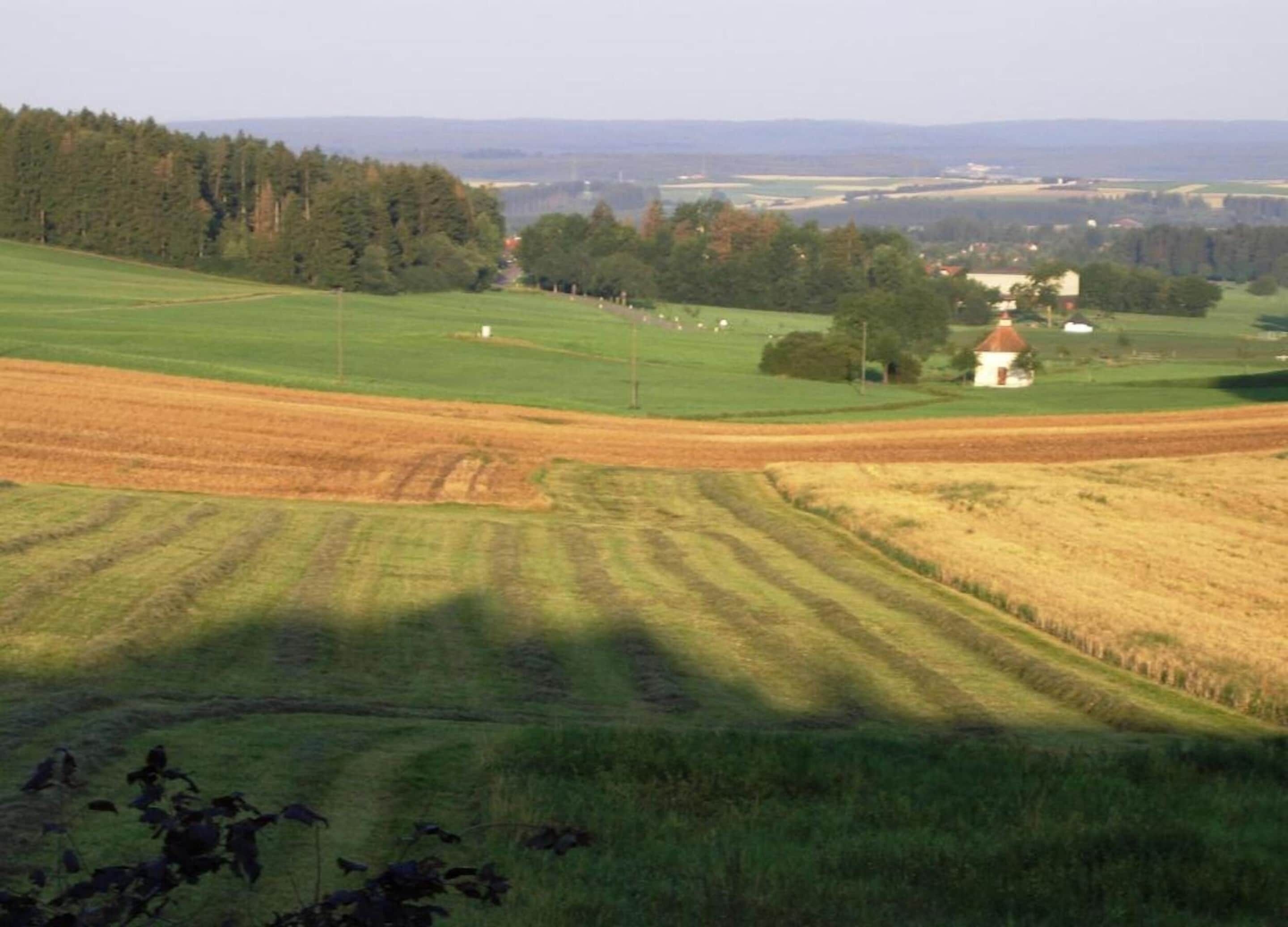 Un paysage rural avec des champs, un petit bâtiment et des arbres à l’horizon.