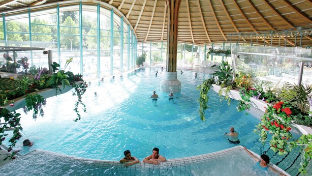 Una piscina interior con techo de madera alta y paredes de vidrio, rodeada de plantas y zonas de estar.
