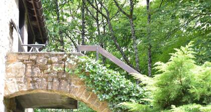 Cottage in the Heart of the Ardennes Woods
