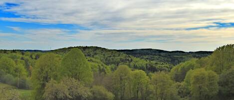 A panoramic view of a green landscape with a hill in the distance and a clear sky.