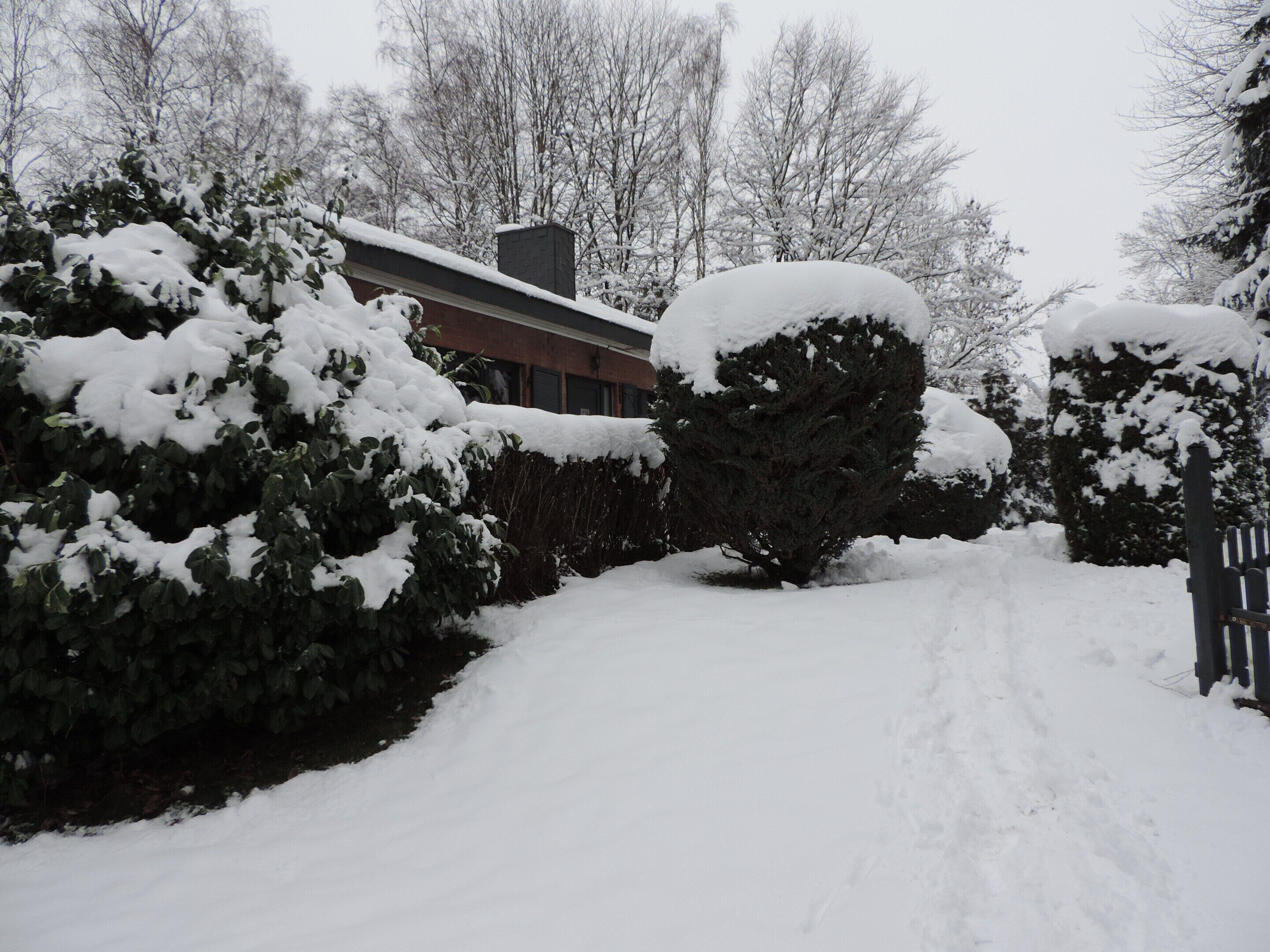 A snow-covered pathway leading to a house with a brick facade and a chimney.