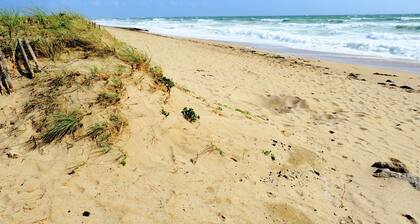 Luxurious Holiday Home in Plouhinec Near Sea