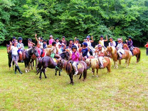 Exterior - Cozy Cottage Retreat in Vezac (Vezac)