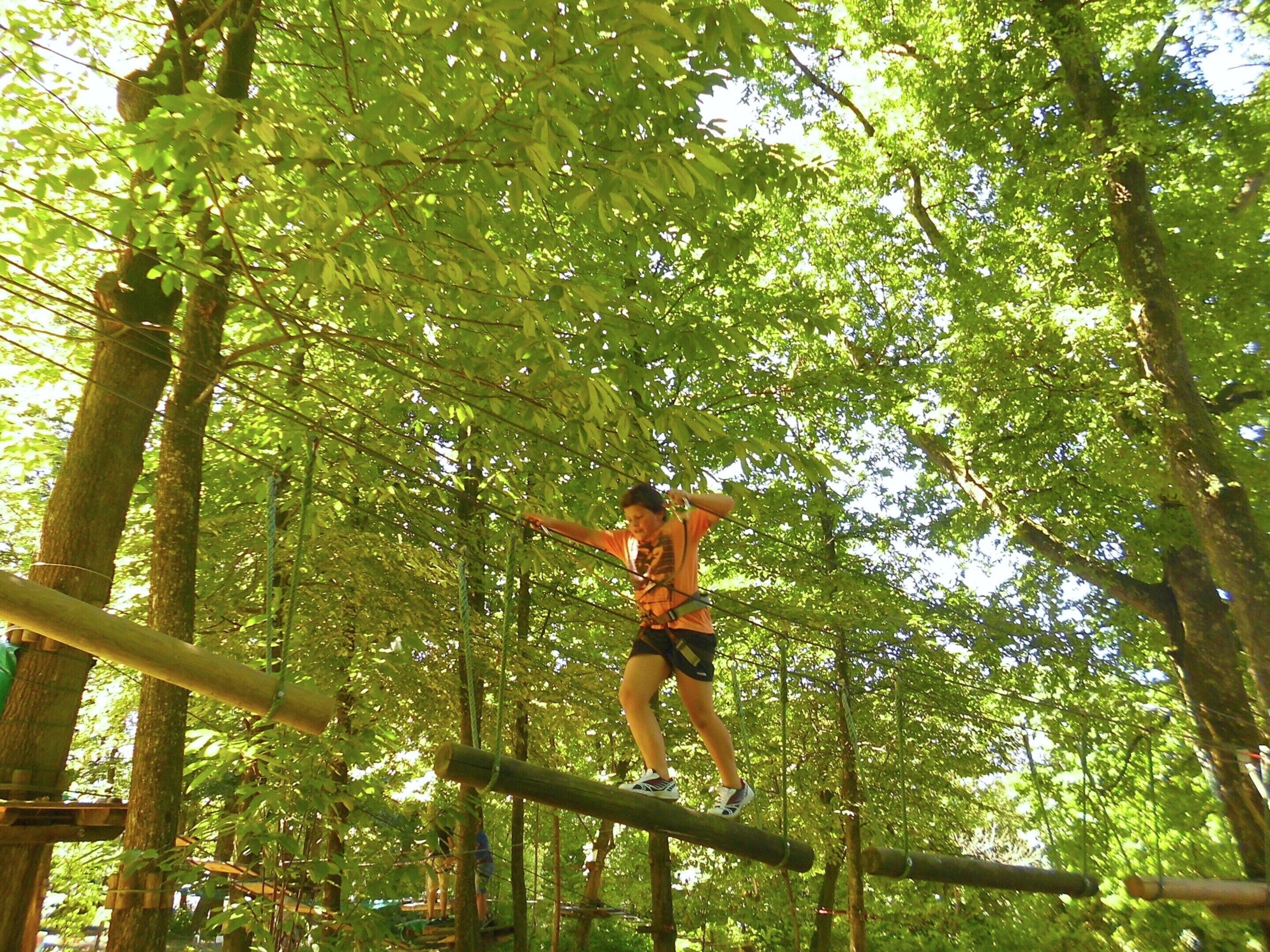 A person navigating a rope bridge in a forested area.