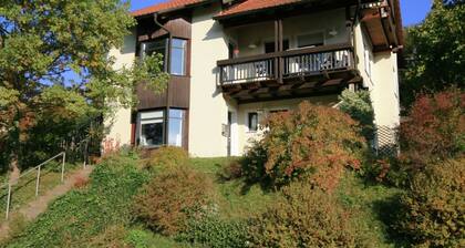 Apartment in Warmensteinach With Private Terrace and Garden