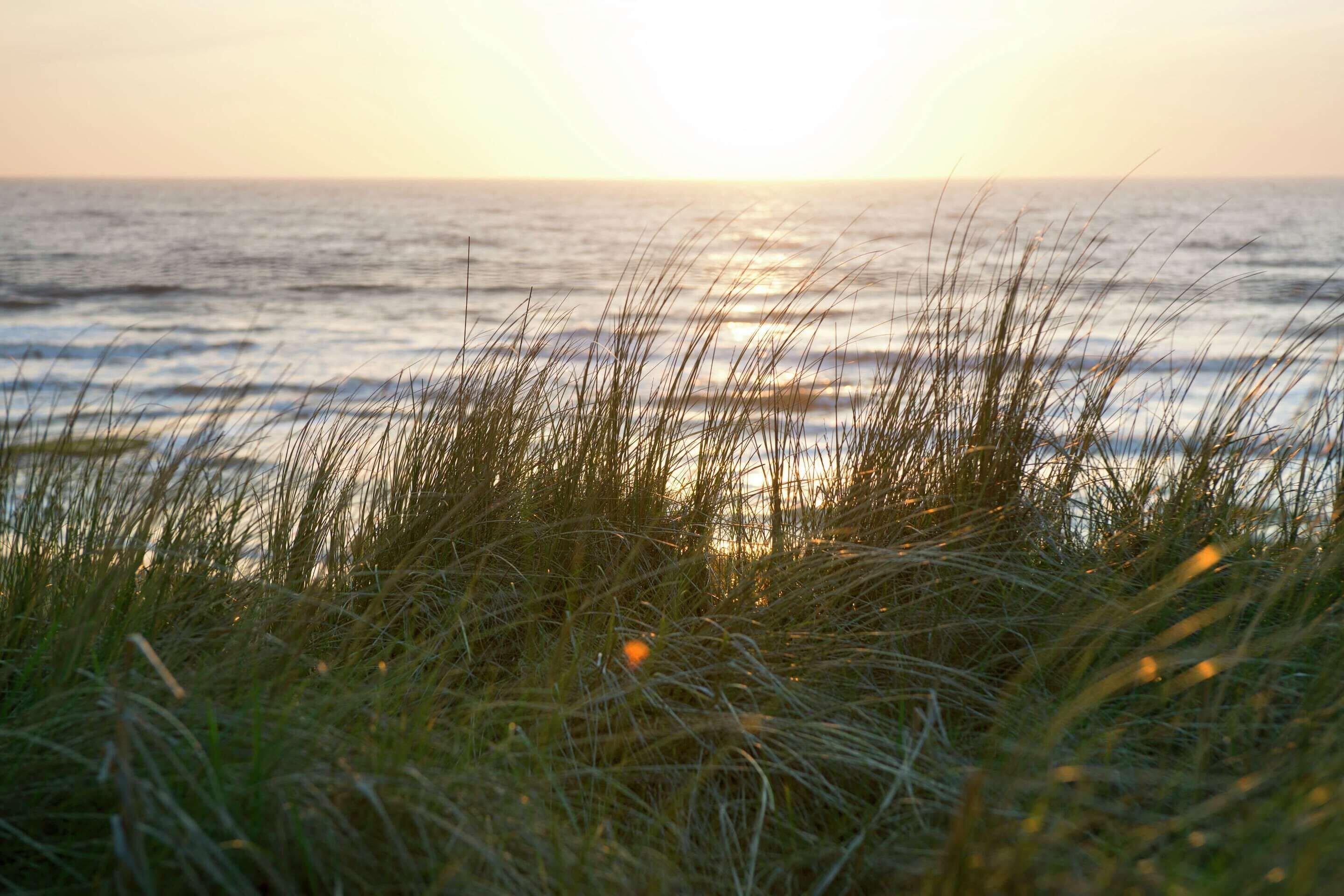 Bungalow | View from property