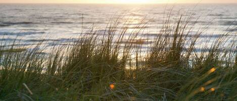 Bungalow | Vue depuis lâhĂ©bergement