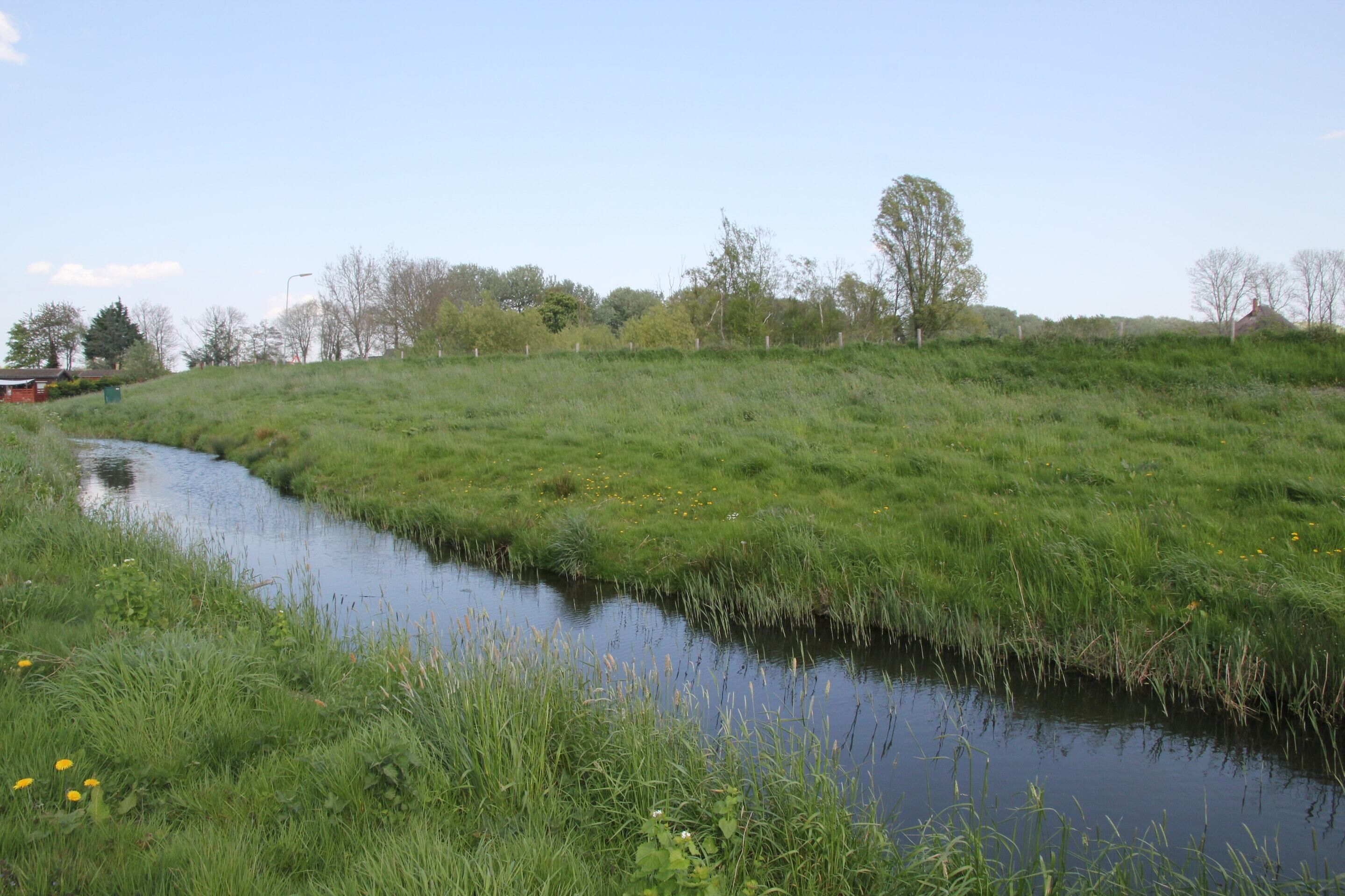 A grassy area with a small water channel.