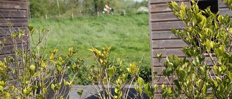 Bungalow | View from property