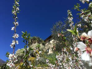 Exterior - Belvilla by OYO Irene (Ventimiglia)